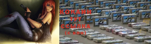 хмурый Корсаков