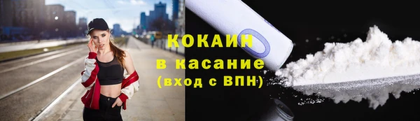 хмурый Корсаков