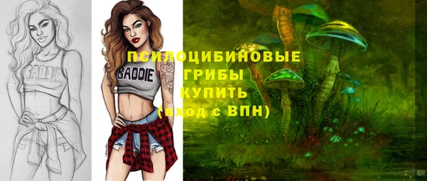 спиды Кодинск