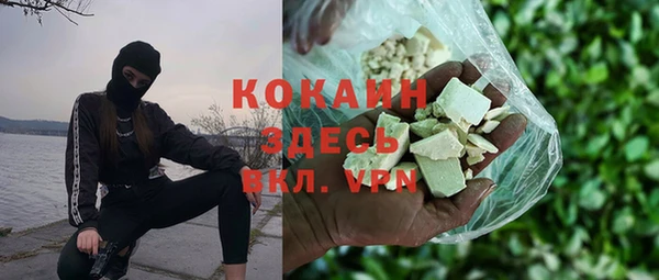 твердый Коряжма